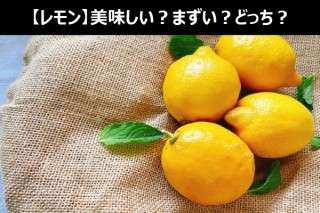 【レモン】美味しい？まずい？どっち？人気アンケートで好き嫌いの割合調査！