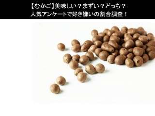 【むかご】美味しい？まずい？どっち？人気アンケートで好き嫌いの割合調査！