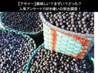【アサイー】美味しい？まずい？どっち？人気アンケートで好き嫌いの割合調査！