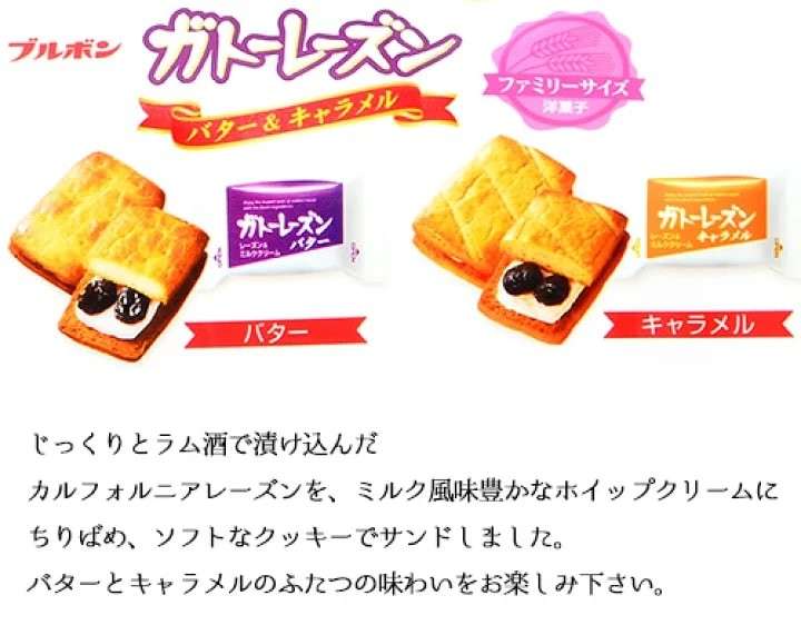  【ガトーレーズン】の特徴・魅力
