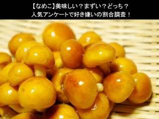 【なめこ】美味しい？まずい？どっち？人気アンケートで好き嫌いの割合調査！