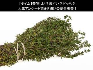 【タイム】美味しい？まずい？どっち？人気アンケートで好き嫌いの割合調査！