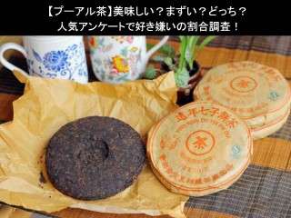【プーアル茶】美味しい？まずい？どっち？人気アンケートで好き嫌いの割合調査！