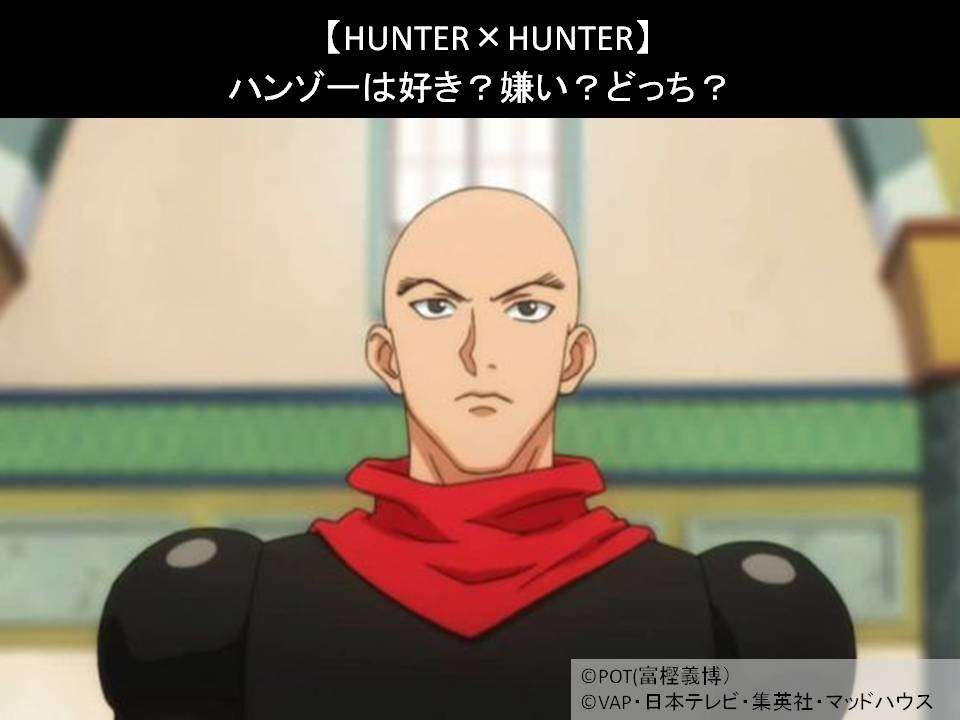 【HUNTER×HUNTER】ハンゾーは好き？嫌い？どっち？人気アンケート調査！