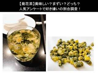 【菊花茶】美味しい？まずい？どっち？人気アンケートで好き嫌いの割合調査！