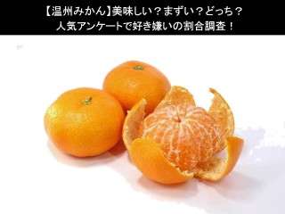 【温州みかん】美味しい？まずい？どっち？人気アンケートで好き嫌いの割合調査！