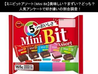 【ミニビットアソート（Mini Bit）】美味しい？まずい？どっち？人気アンケートで好き嫌いの割合調査！