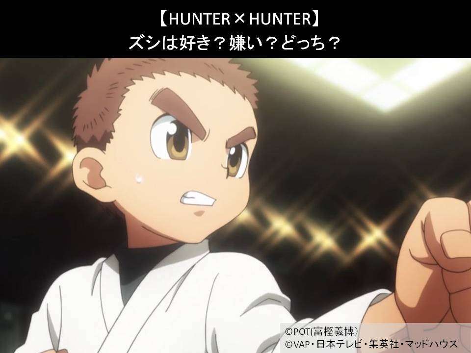 【HUNTER×HUNTER】ズシは好き?嫌い?どっち?人気アンケート調査!