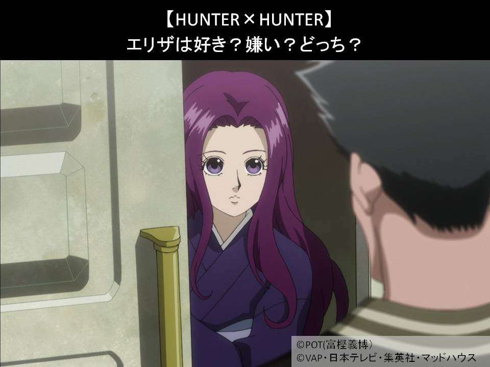 【HUNTER×HUNTER】エリザは好き？嫌い？どっち？人気アンケート調査！