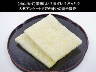【松山あげ】美味しい？まずい？どっち？