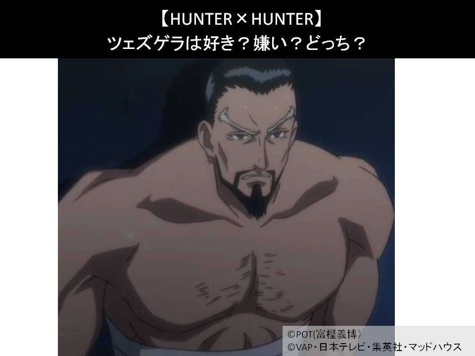 【HUNTER×HUNTER】ツェズゲラは好き?嫌い?どっち?人気アンケート調査!