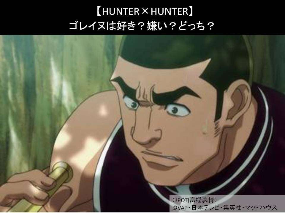 【HUNTER×HUNTER】ゴレイヌは好き?嫌い?どっち?人気アンケート調査!
