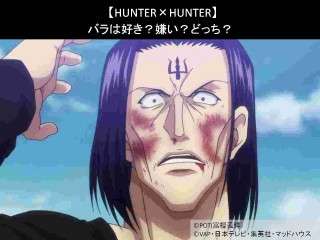 【HUNTER×HUNTER】バラは好き？嫌い？どっち？人気アンケート調査！