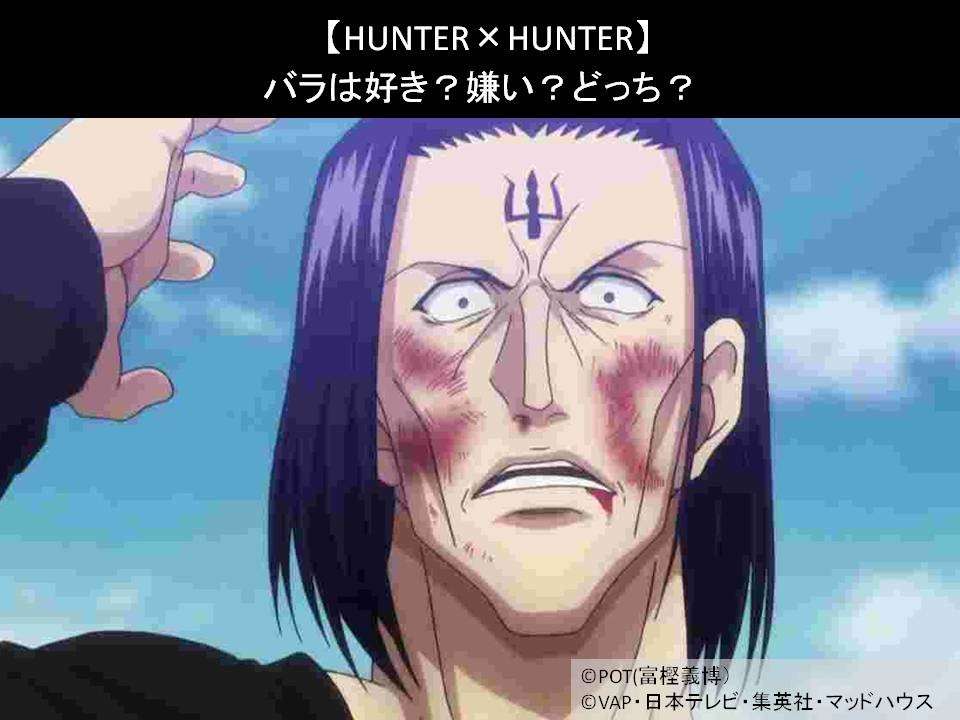 【HUNTER×HUNTER】バラは好き?嫌い?どっち?人気アンケート調査!