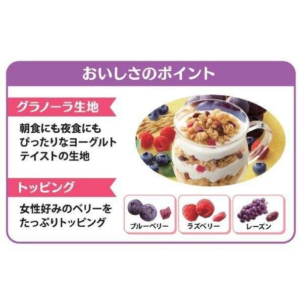 【グラノーラプラス鉄分&8種のビタミン】の特徴・魅力