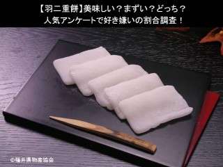 【羽二重餅】美味しい？まずい？どっち？人気アンケートで好き嫌いの割合調査！
