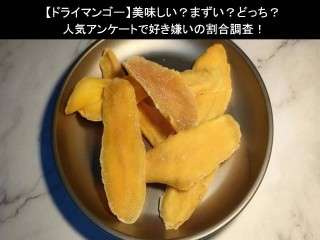 【ドライマンゴー】美味しい？まずい？どっち？人気アンケートで好き嫌いの割合調査！
