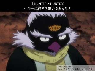 【HUNTER×HUNTER】ペギーは好き？嫌い？どっち？人気アンケート調査！