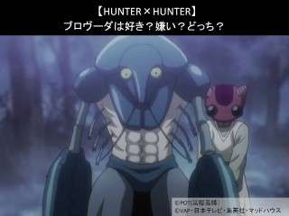 【HUNTER×HUNTER】ブロヴーダは好き？嫌い？どっち？人気アンケート調査！