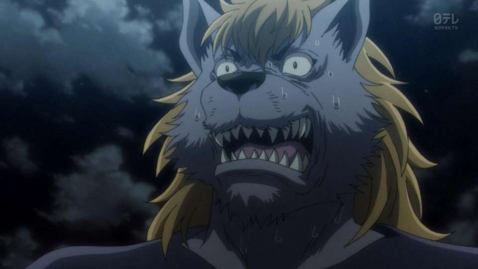 HUNTER×HUNTER】ウェルフィンのキャラ紹介