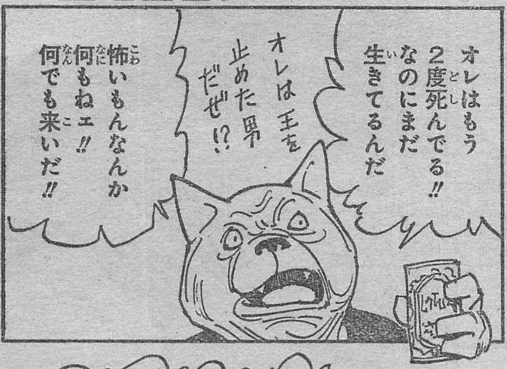 HUNTER×HUNTER】ウェルフィンの魅力とは？