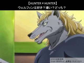 【HUNTER×HUNTER】ウェルフィンは好き？嫌い？どっち？人気アンケート調査！