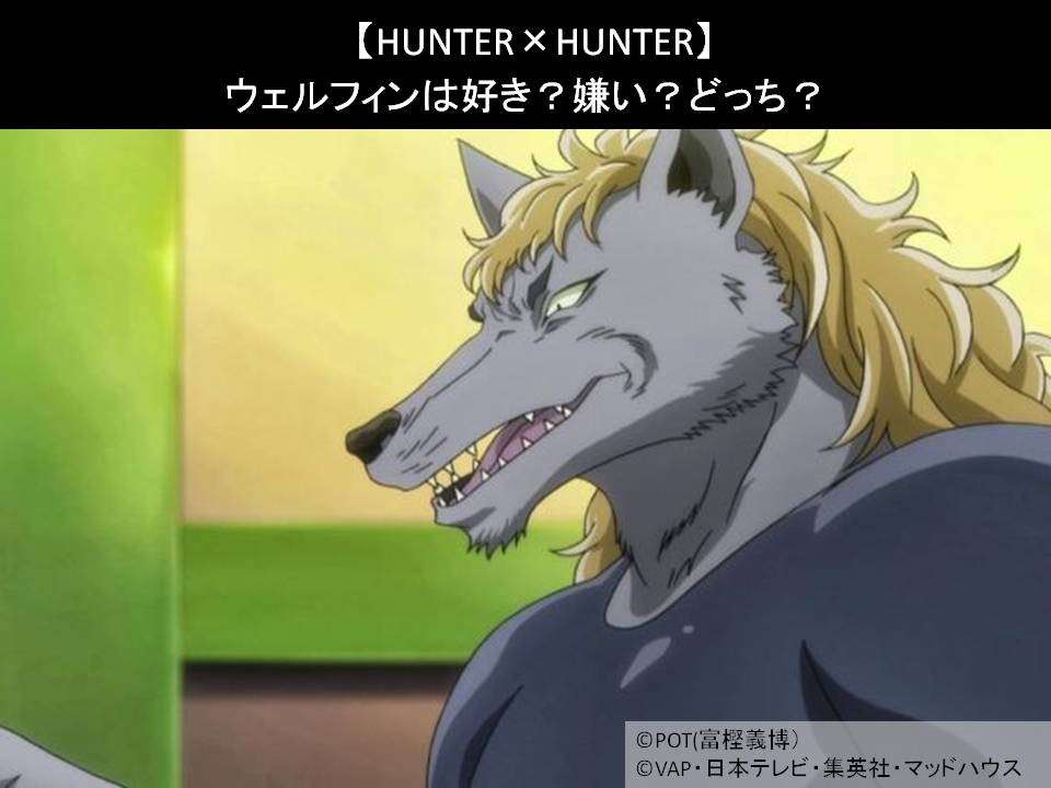 【HUNTER×HUNTER】ウェルフィンは好き？嫌い？どっち？人気アンケート調査！