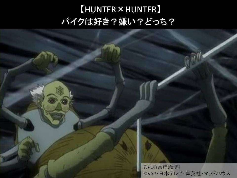 【HUNTER×HUNTER】パイクは好き？嫌い？どっち？人気アンケート調査！