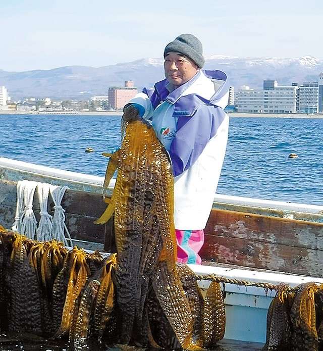  【がごめ昆布】の特徴・魅力