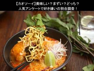 【カオソーイ】美味しい？まずい？どっち？人気アンケートで好き嫌いの割合調査！