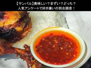 【サンバル】美味しい？まずい？どっち？人気アンケートで好き嫌いの割合調査！