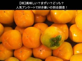 【柿】美味しい？まずい？どっち？人気アンケートで好き嫌いの割合調査！