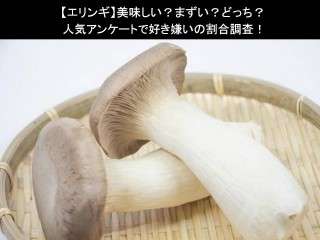 【エリンギ】美味しい？まずい？どっち？人気アンケートで好き嫌いの割合調査！