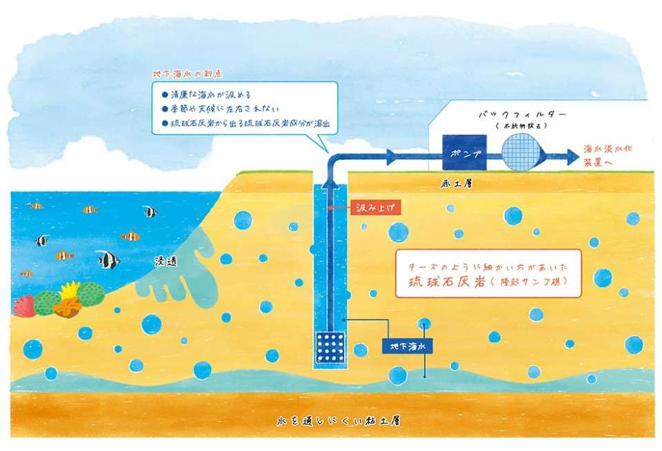 【雪塩ちんすこう】の特徴・魅力