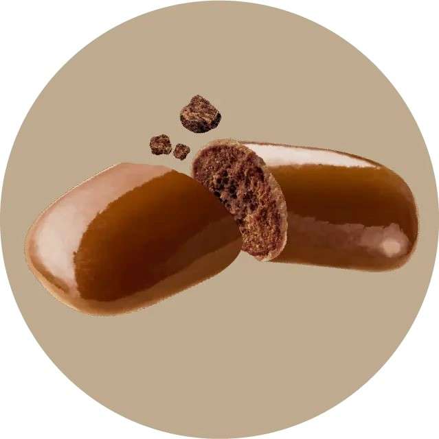 ガルボの特徴