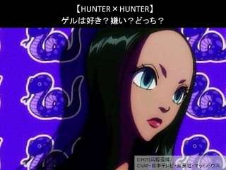 【HUNTER×HUNTER】ゲルは好き？嫌い？どっち？人気アンケート調査！