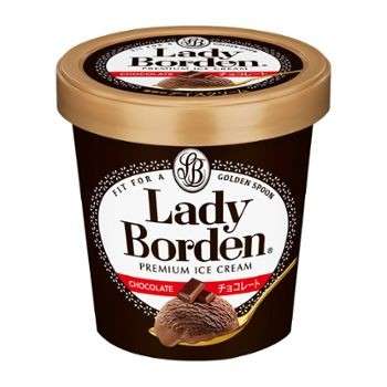レディーボーデンパイント チョコレート