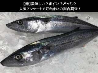 【鰆（さわら）】美味しい？まずい？どっち？人気アンケートで好き嫌いの割合調査！