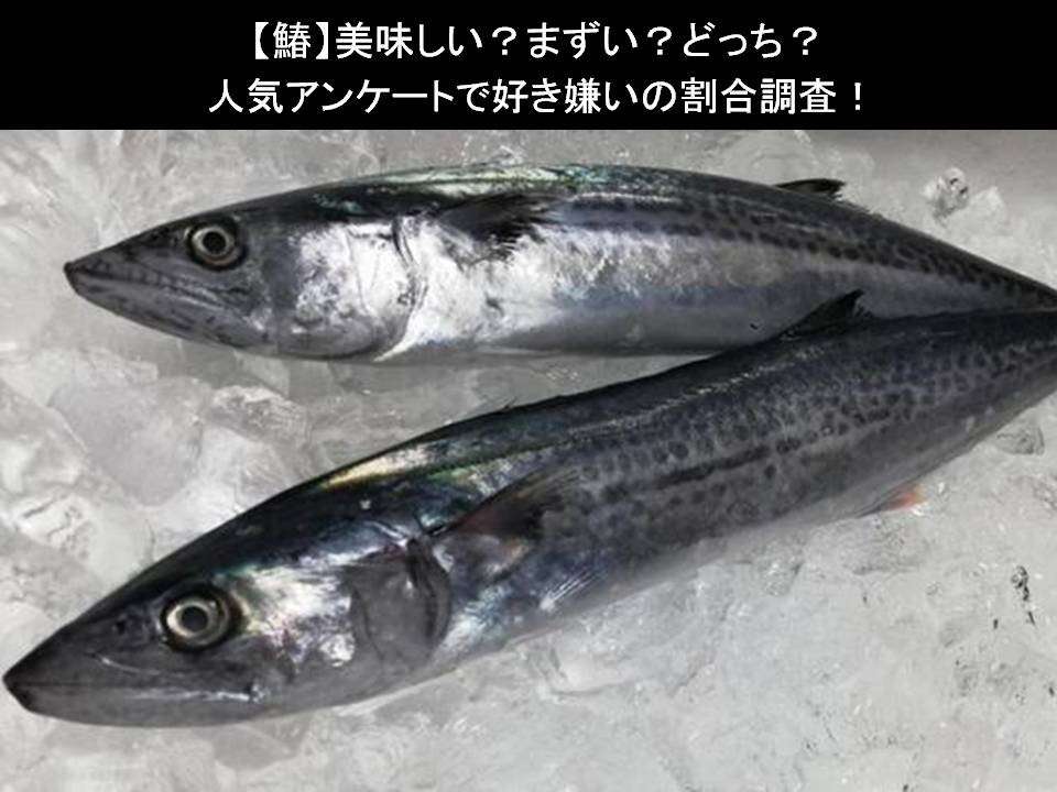 【鰆(さわら)】美味しい?まずい?どっち?人気アンケートで好き嫌いの割合調査!