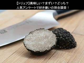 【トリュフ】美味しい？まずい？どっち？人気アンケートで好き嫌いの割合調査！