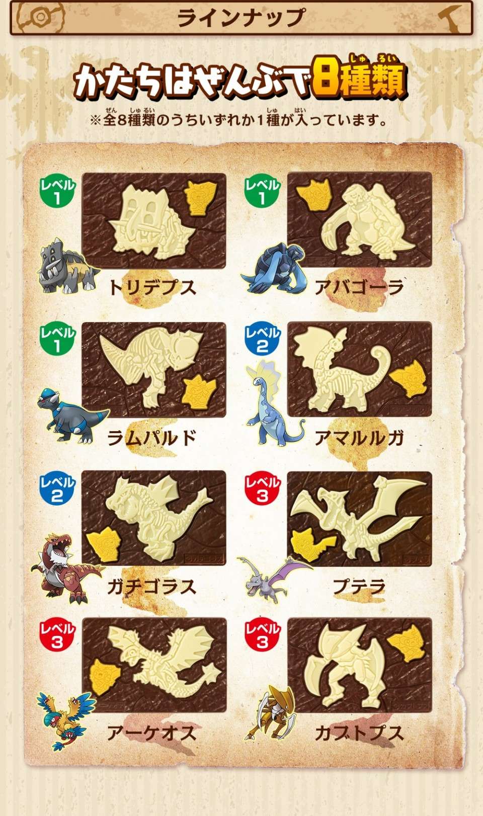 キャラパキの特徴