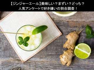 【ジンジャーエール】美味しい？まずい？どっち？人気アンケートで好き嫌いの割合調査！