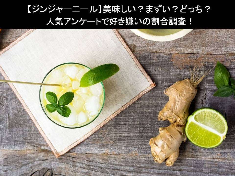 【ジンジャーエール】美味しい?まずい?どっち?人気アンケートで好き嫌いの割合調査!