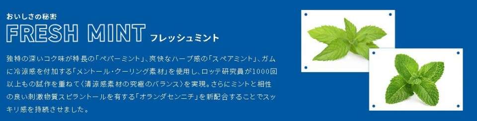 フレッシュミント
