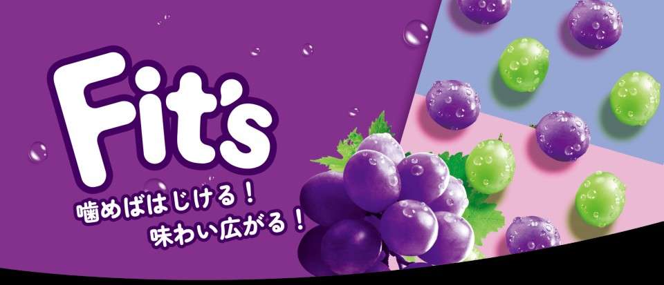 【Fit`s】の種類と特徴