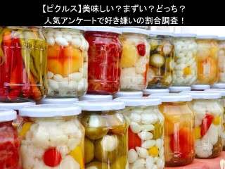 【ピクルス】美味しい？まずい？どっち？人気アンケートで好き嫌いの割合調査！