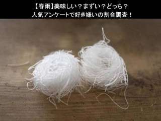 【春雨】美味しい？まずい？どっち？人気アンケートで好き嫌いの割合調査！