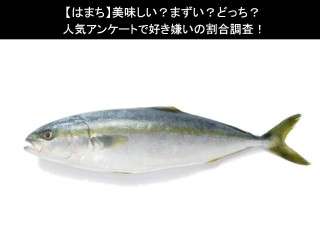 【はまち】美味しい？まずい？どっち？人気アンケートで好き嫌いの割合調査！