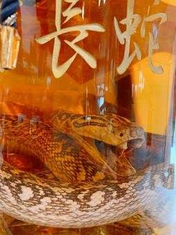 ハブ酒の魅力