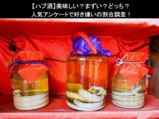 【ハブ酒】美味しい？まずい？どっち？人気アンケートで好き嫌いの割合調査！
